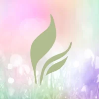 Full Leaf Tea Company